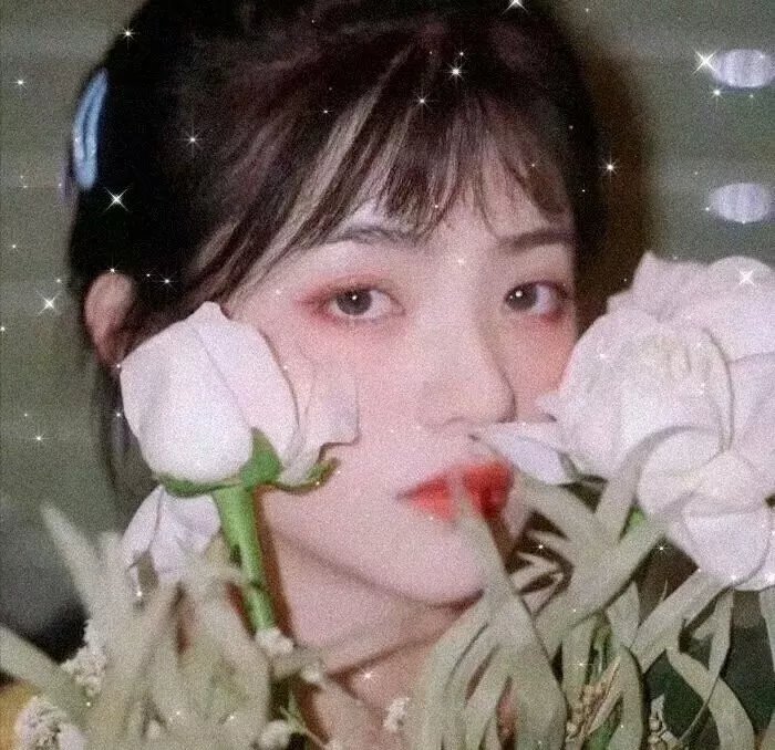 逆女泰瑞丝