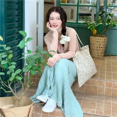 迁徙的鸟
